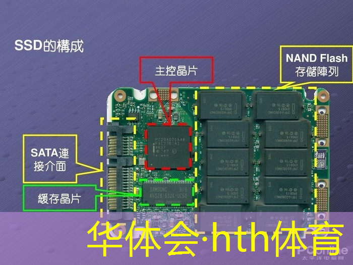 华体育hth：3d版植树节游戏入口