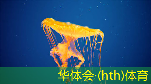 华体育hth官网登录：怎么样解绑微信小程序游戏