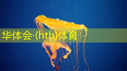 华体育hth：联机3d狼人游戏大全