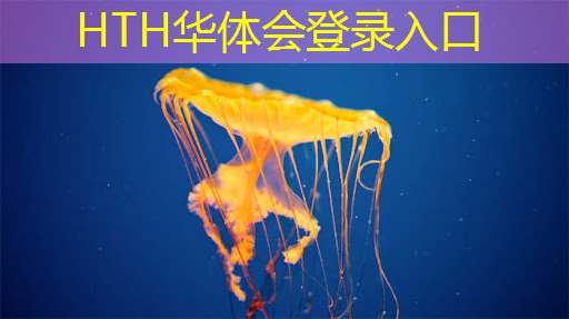 学习ui设计师需要报培训班吗