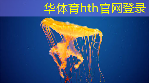 华体会·(hth)体育：非常唯美3d的游戏有哪些