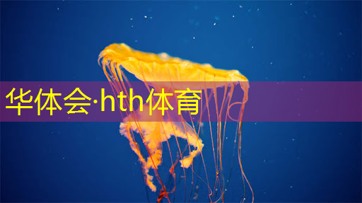 高画质3d战争游戏推荐