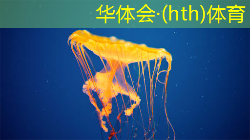 华体育hth：冒险3d游戏盘点在哪