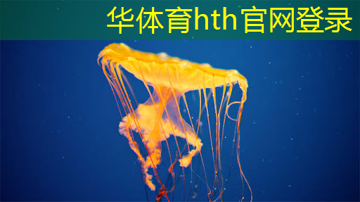 华体会·hth体育：游戏推荐原画风格有哪些