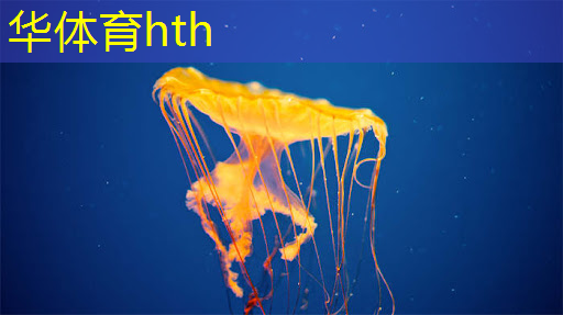HTH华体会登录入口：3d驾驶游戏有什么好处