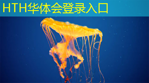 华体育hth官网登录：3d方块蜘蛛游戏