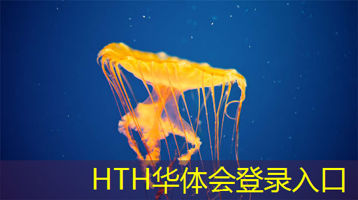 华体会·(hth)体育：学习3d游戏需要会哪些