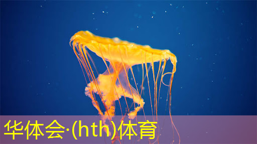 华体会·(hth)体育：滑板游戏小程序入口