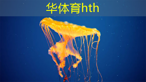华体会·(hth)体育：井底之蛙小程序游戏入口