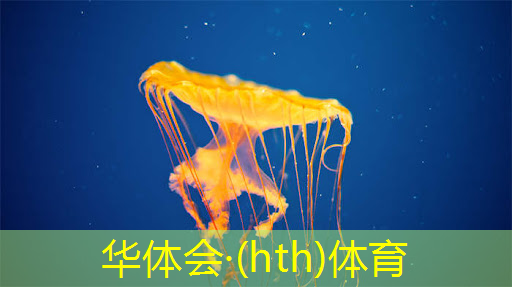 HTH华体会登录入口：极速登场！全国青年电竞大赛官网报名方法解析！