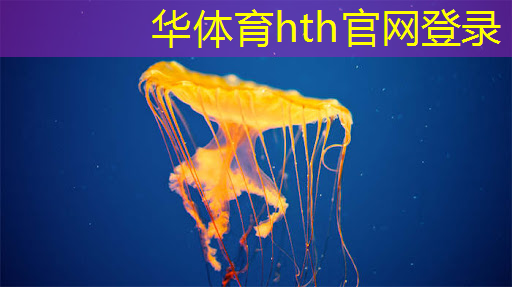 华体育hth：游戏梦幻之星在线3D