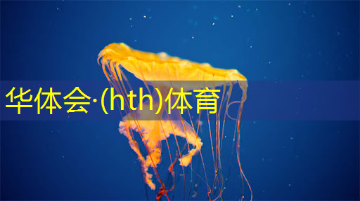 华体会·hth体育：AR眼镜中的3d游戏