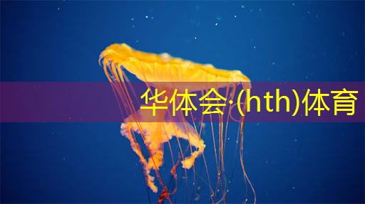 HTH华体会登录入口：想把游戏和程序分开的软件