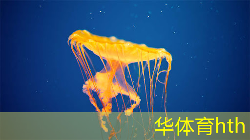 华体育hth：汉诺塔 游戏小程序怎么玩