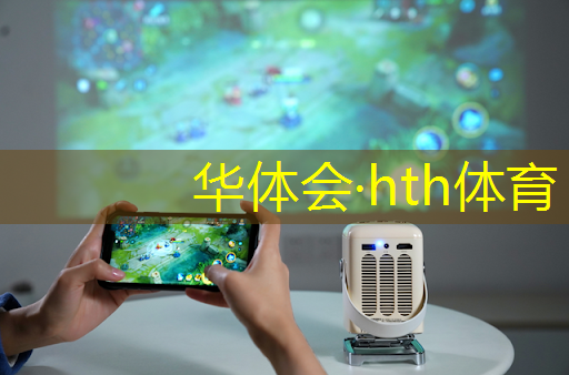 华体会·(hth)体育：地牢风格的电脑3d单机游戏
