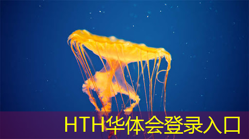 运车游戏小程序有哪些