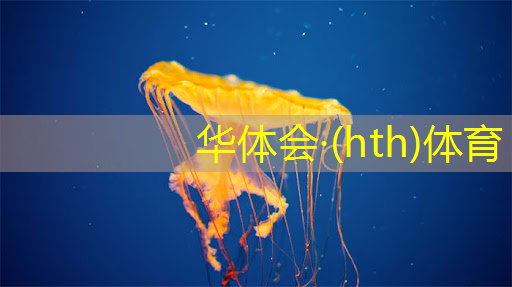 HTH华体会登录入口：航空微信小程序游戏怎么玩