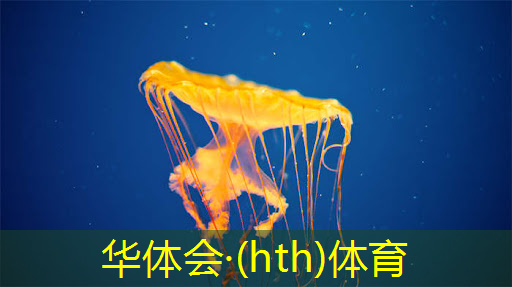 HTH华体会登录入口：游戏原画行业年龄分析报告