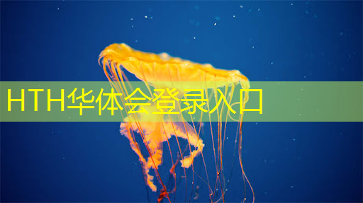 联机3d狼人游戏大全