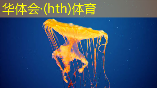 学习ui设计师需要报培训班吗