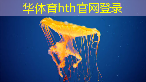 狼人对决卡牌游戏原画