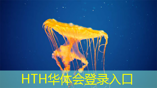 非常唯美3d的游戏有哪些