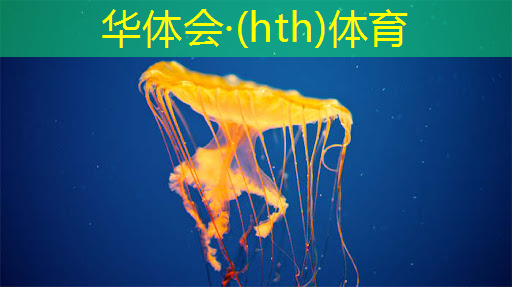 高画质3d战争游戏推荐