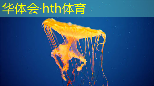 游戏推荐原画风格有哪些