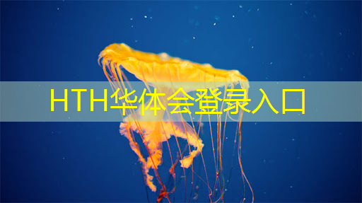 游戏梦幻之星在线3D