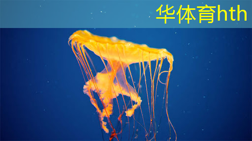 AR眼镜中的3d游戏