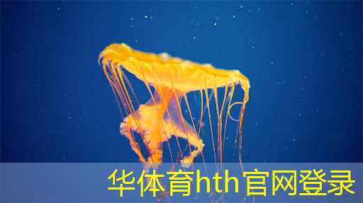 汉诺塔 游戏小程序怎么玩