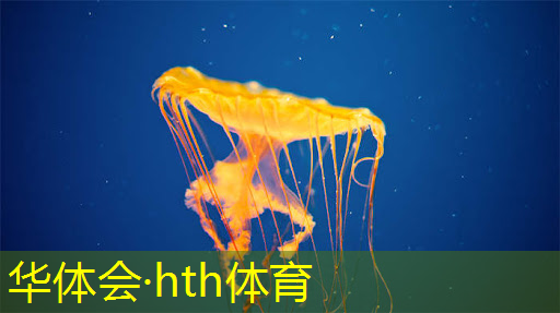 漂移3d游戏怎么玩教程