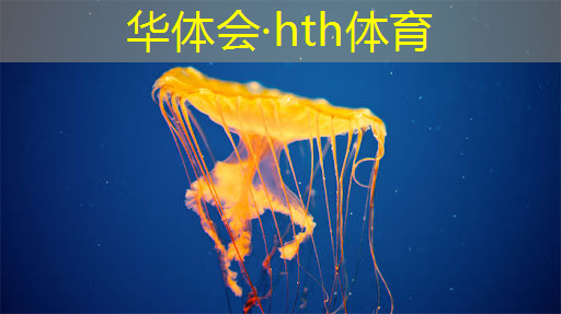 哈密市3d游戏